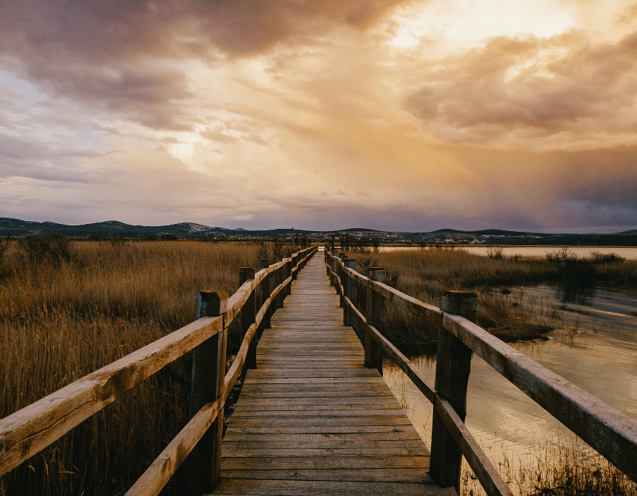 The beauties of Lake Vrana